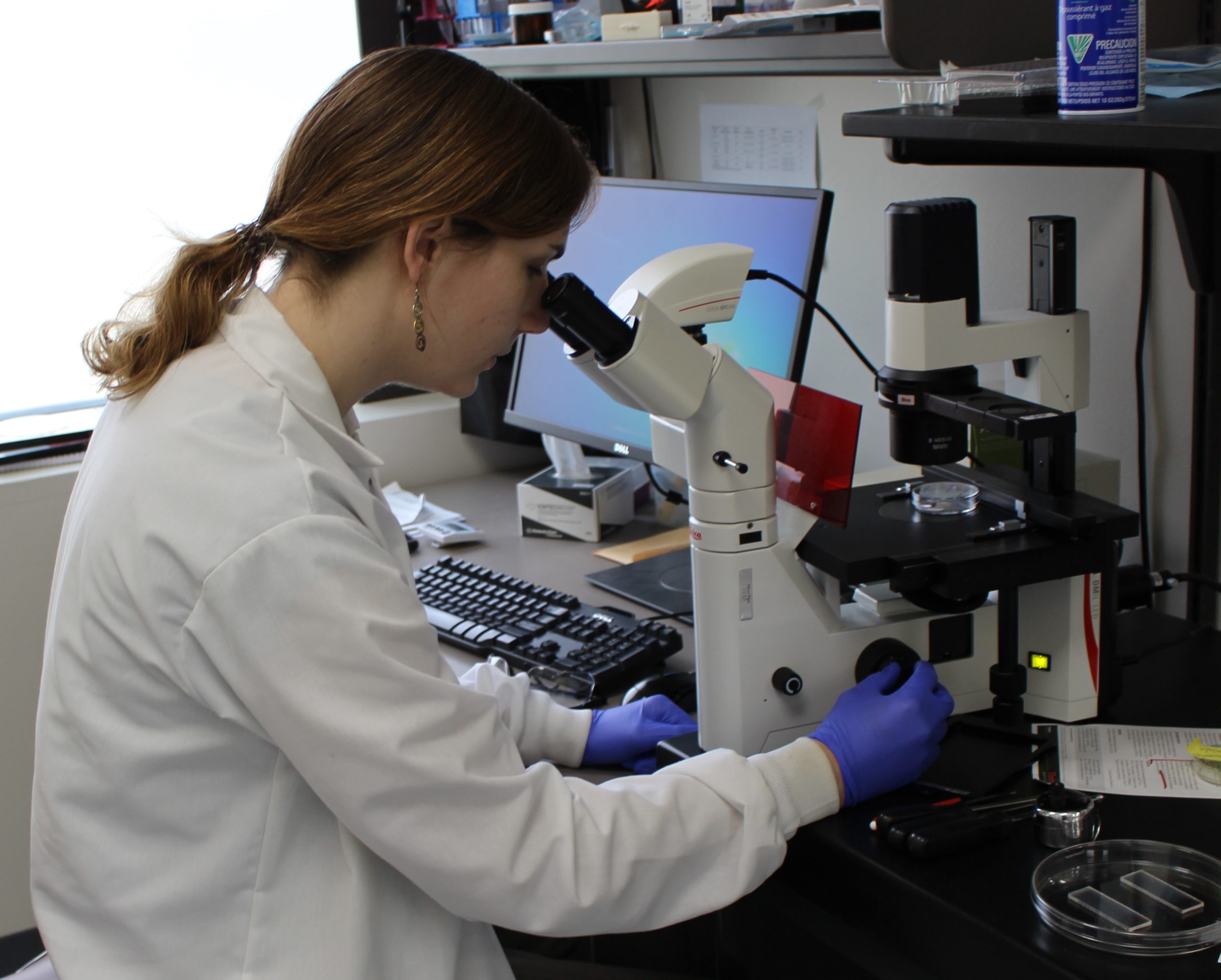 Biology ELG at microscope